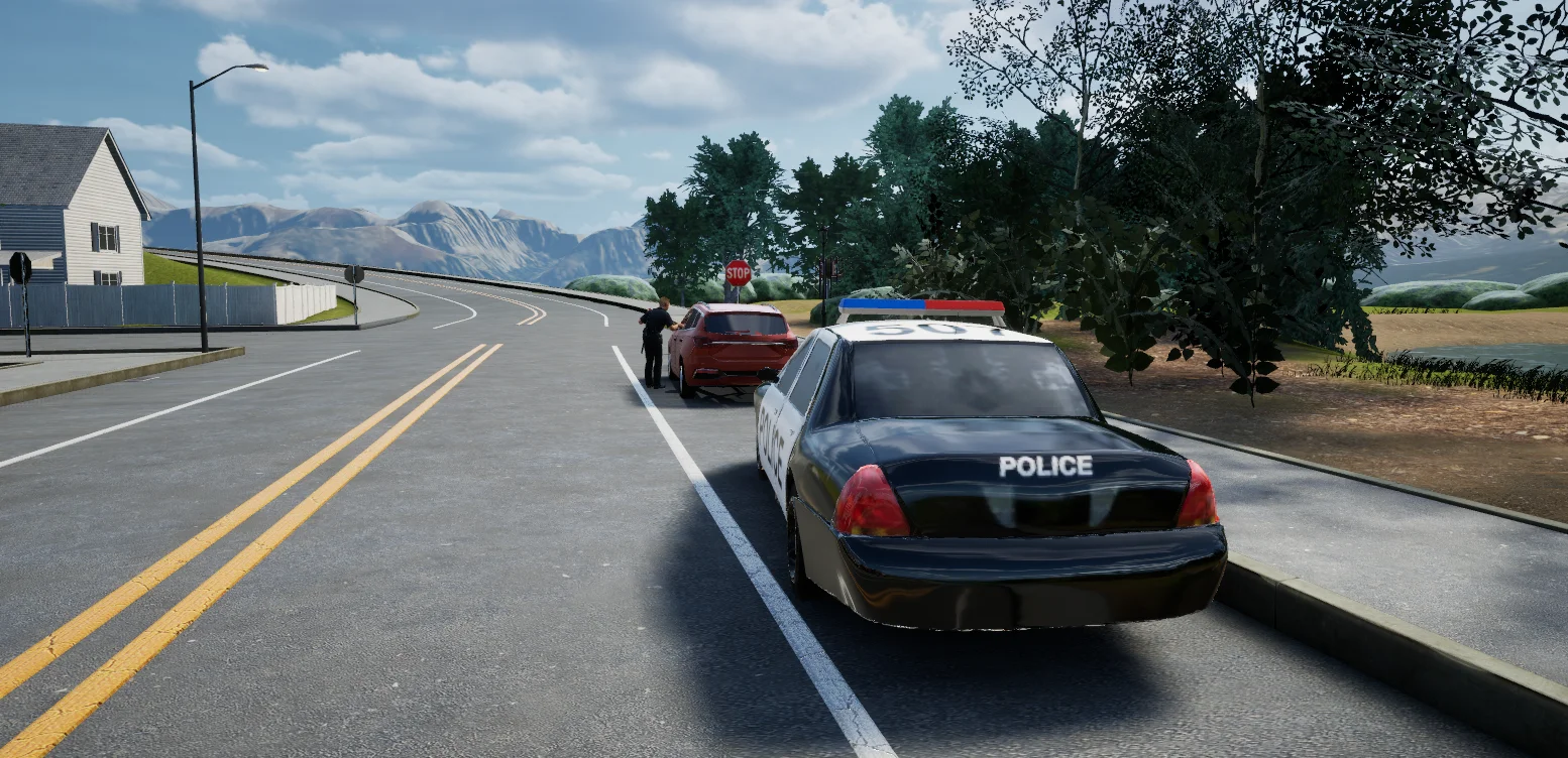 Training scenario 11